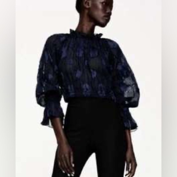 Zara Women’s Tunic XS Black Cropped Semi Sheer Mesh Polka Dot Contemporary - Picture 1 of 14